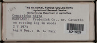Image Associated With the Occurence